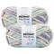 (Pack of 2) Bernat Baby Blanket Big Ball Yarn-Mini Succulents